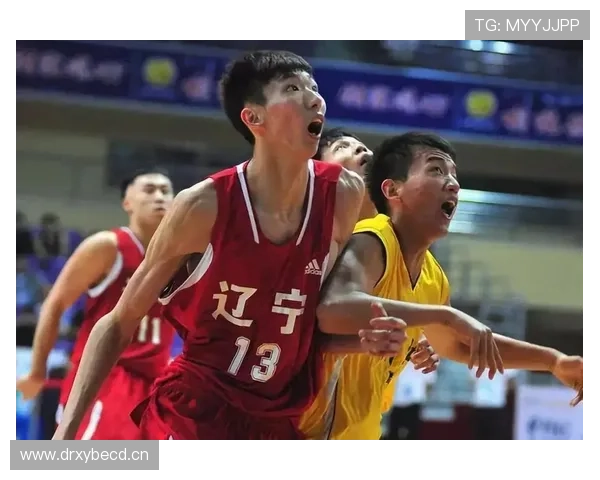 从NBA到CBA，篮球中的“视频回放判罚规则”到底是怎么用的？